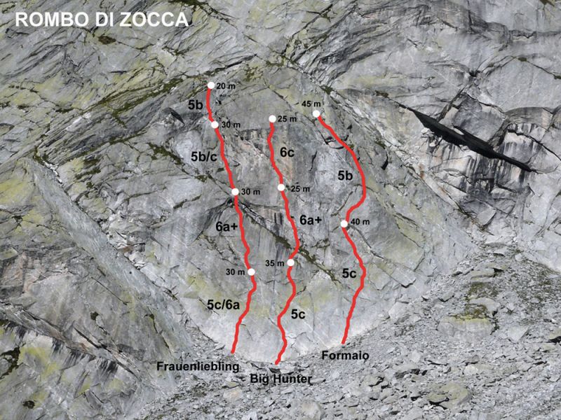 rombo di zocca