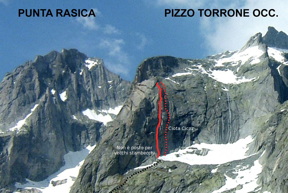 rasica_vie_parete