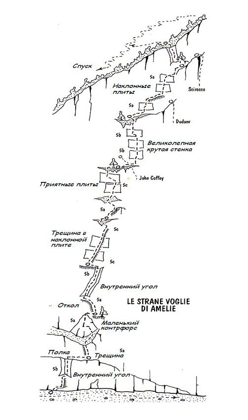 Амелия топо