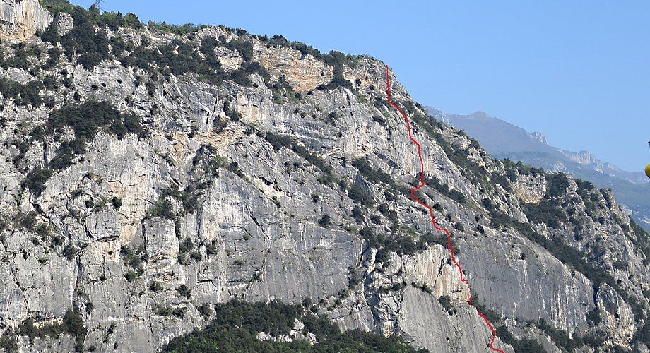 via Concordia нитка